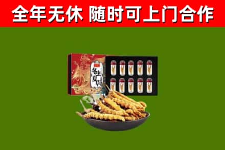 恩施市回收冬虫夏草价格